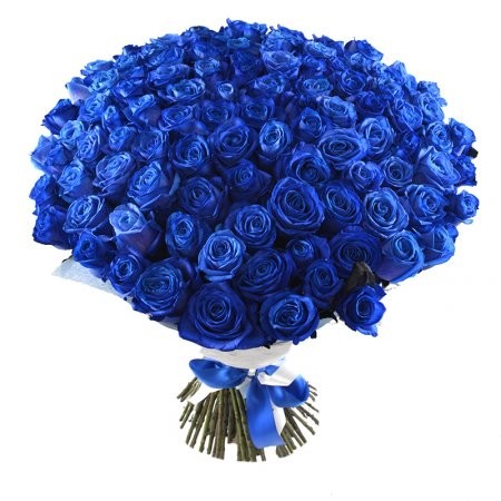 Bouquet of 100 Blue Roses