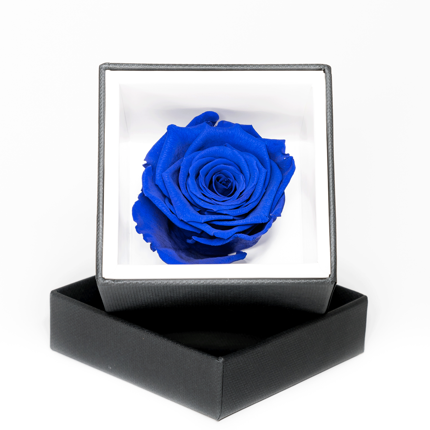 Rosa stabilizzata Blu - Rose in a Box